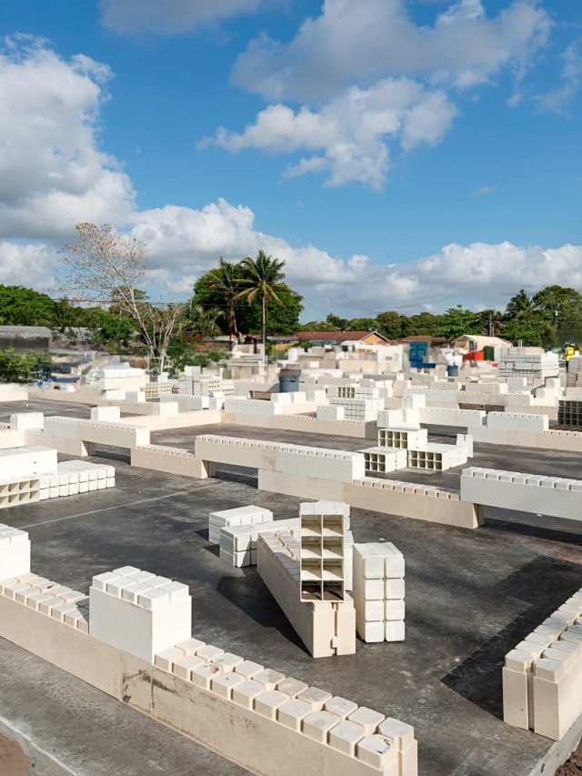 Industry uses wood, Lego bricks and new materials to fight climate change