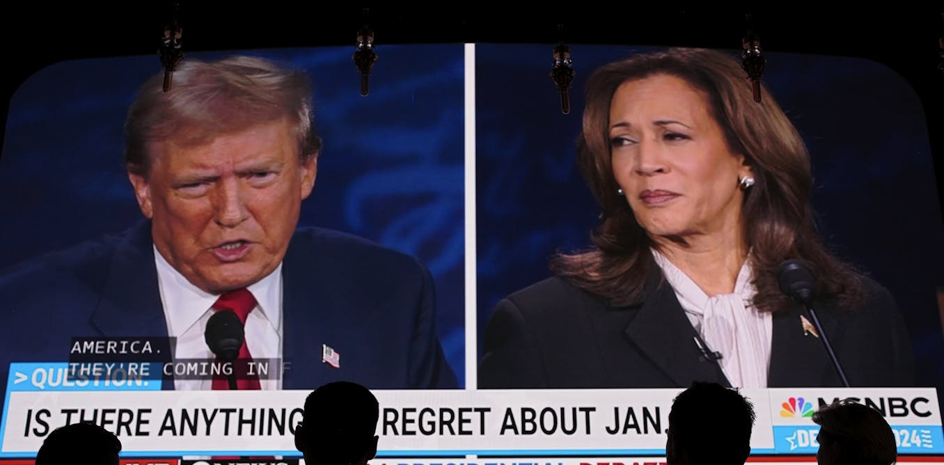 Kamala Harris meme questions her cultural background, highlights Americans' conflict with race