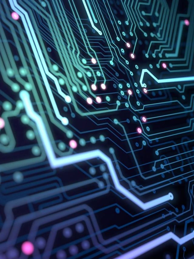 Laboratório de inteligência artificial resolve problema do Alentejo: é uma ‘combinação perfeita’