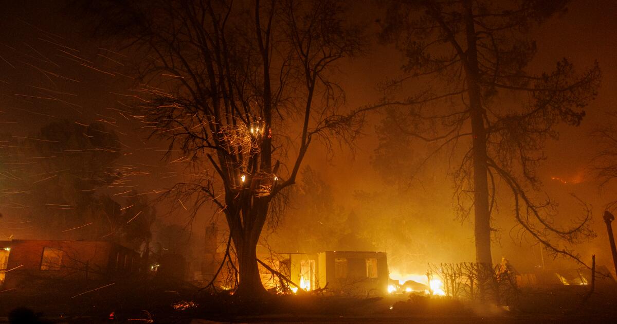 Los Angeles fires: Severe weather warning issued for some areas