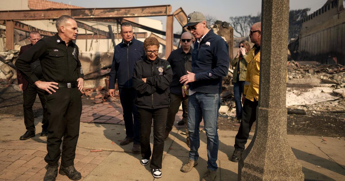 Los Angeles mayor says her brother lost home in Palisade fire