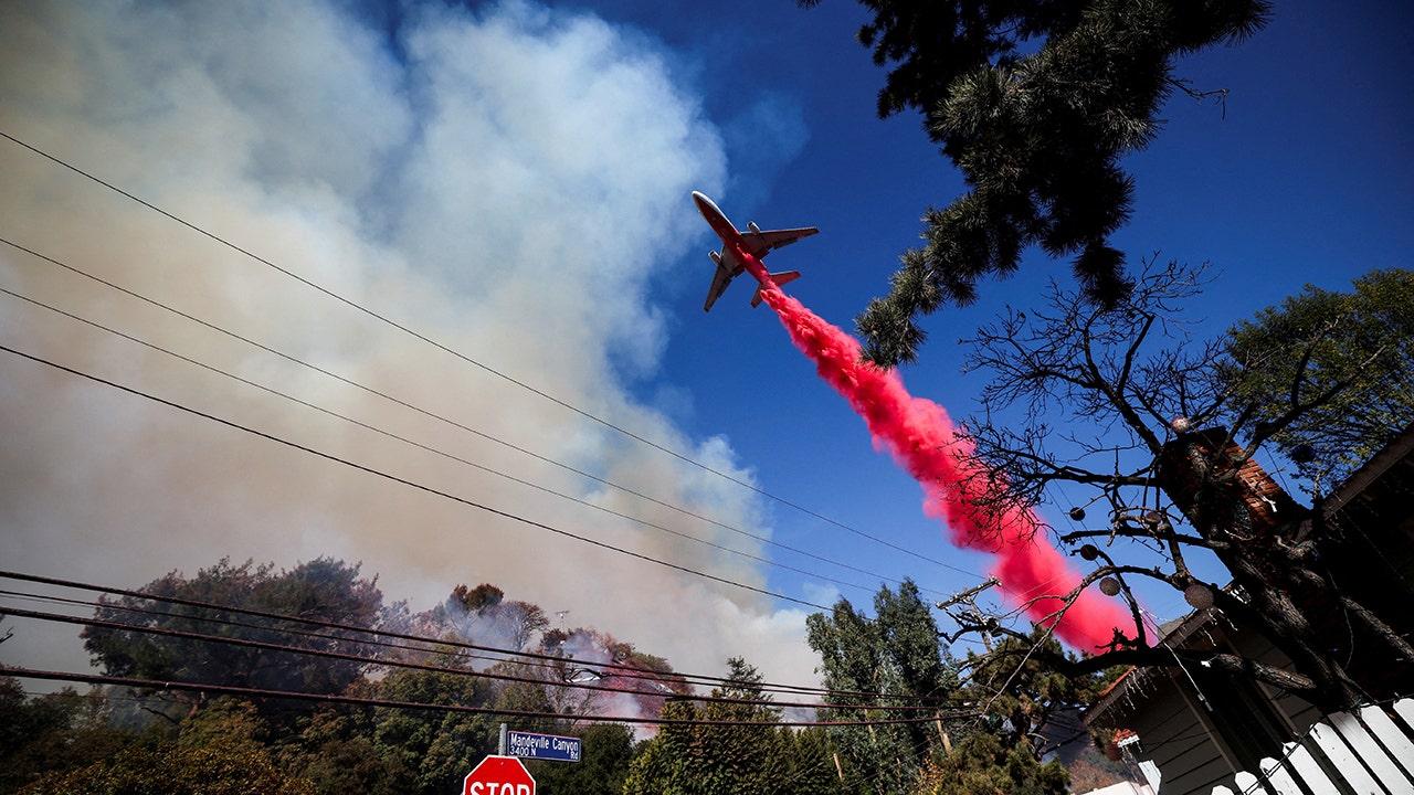 Los Angeles wildfires: Aerial firefighter leader says flames should be 'wake-up call'