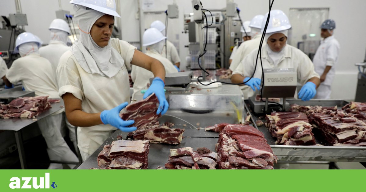 Maior produtor de carne do mundo nega promessa de emissões zero Brasil