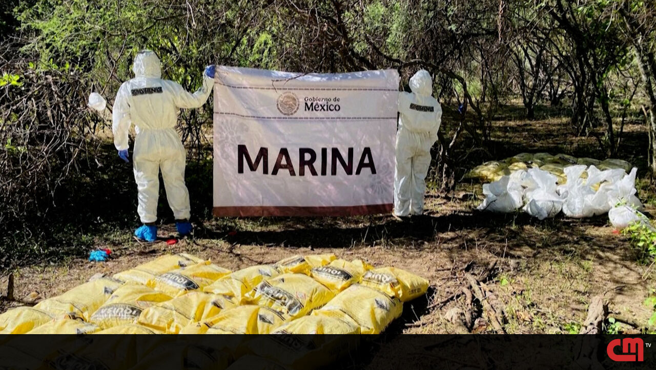 Marinha mexicana desmonta enorme laboratório de drogas em Sinaloa – Vídeo