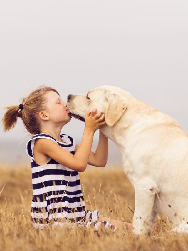 Melhores raças de cães para ter filhos