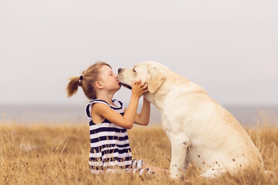 Melhores raças de cães para ter filhos