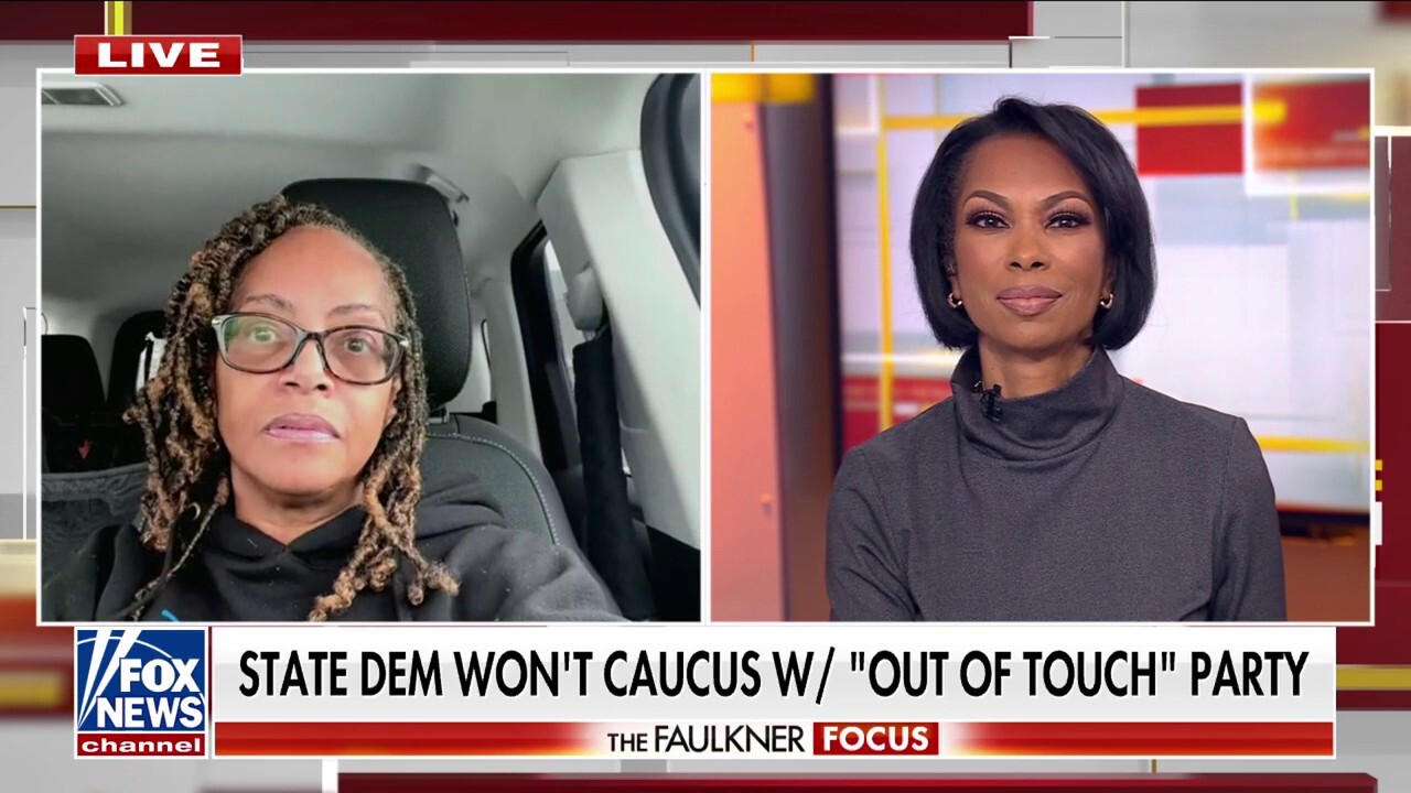 Michigan Democrat refuses to caucus with her 'out-of-touch party': 'Better to go it alone'
