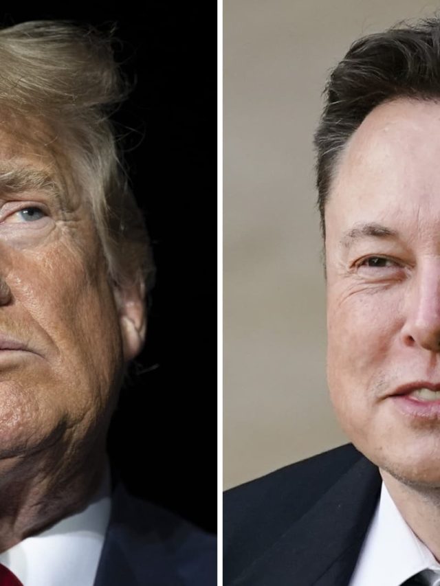 Musk undercuts Trump's Stargate AI investment announcement