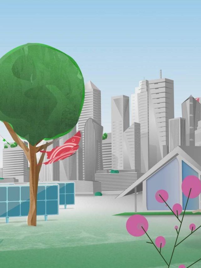 Não há desperdício, apenas produtos valorizados e transformados apenas: Criação nacional de projeto Tecnologias inovadoras para incentivar a economia circular