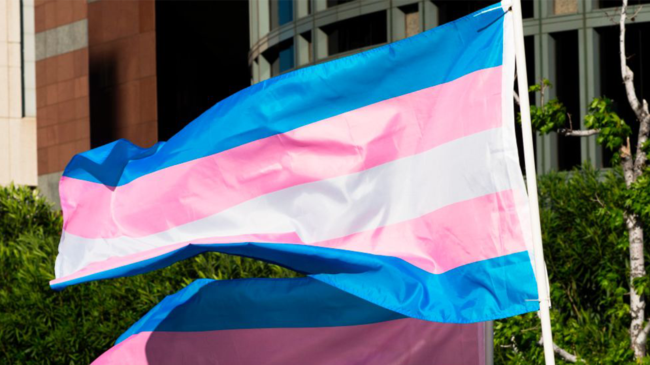 Nashville-area school district votes to remove children's transgender books after heated board meeting