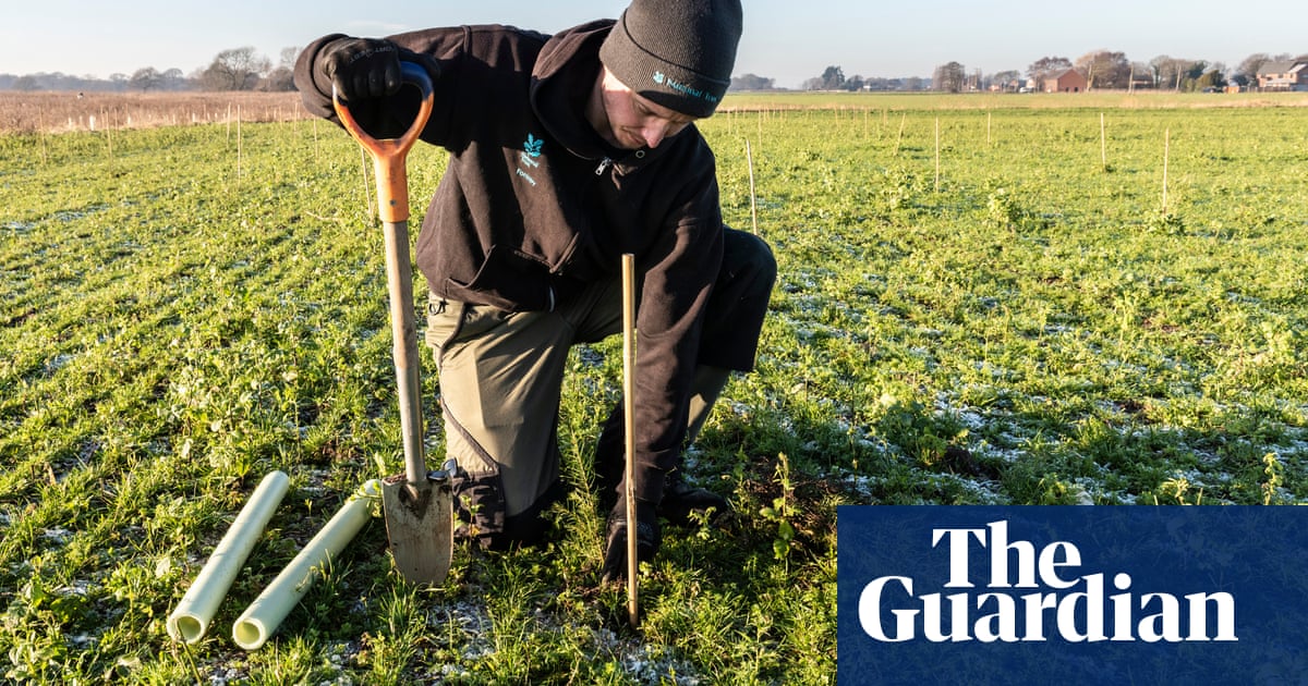 National Trust project to plant nearly half a million trees this winter | National Trust