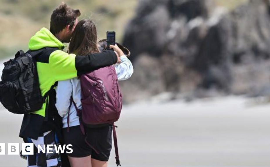 New Zealand relaxation of the "digital nomadic nation" visa regulations to promote the tourism industry