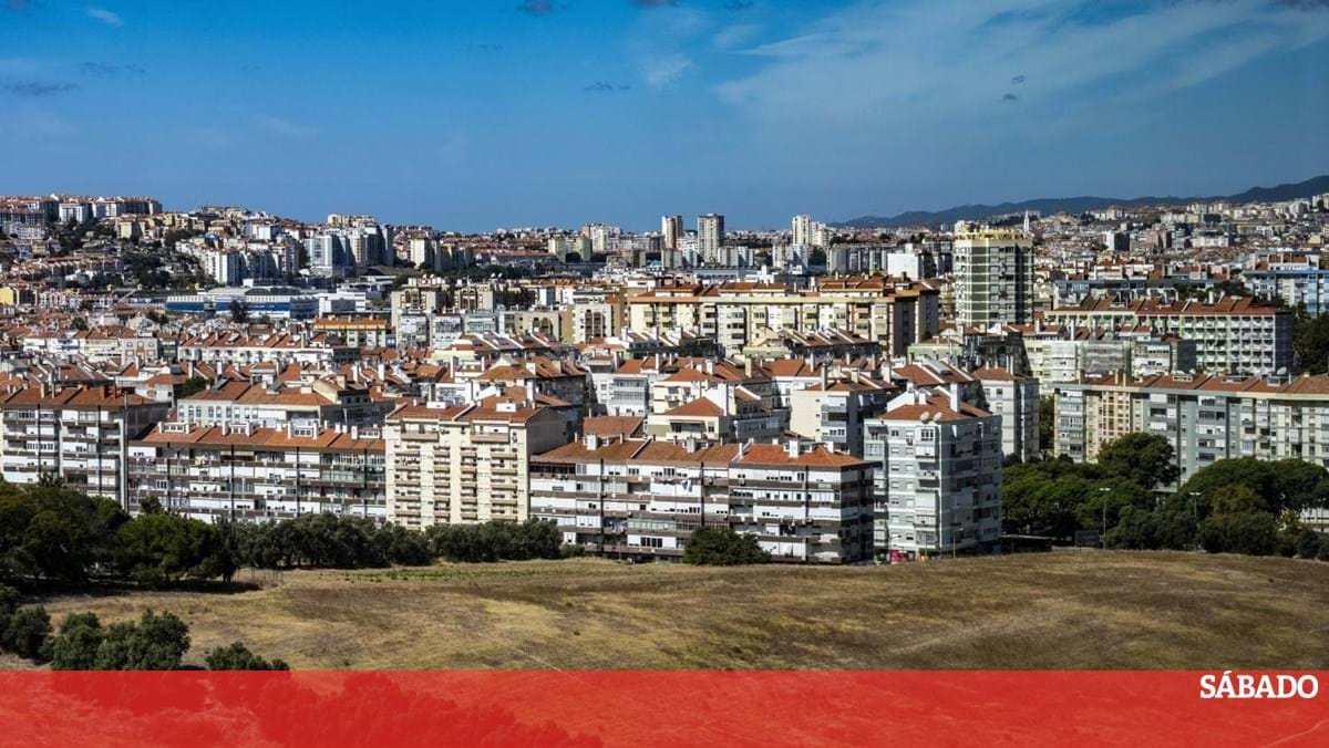 Nova lei de terras permite “expansão urbana desordenada” – Portugal