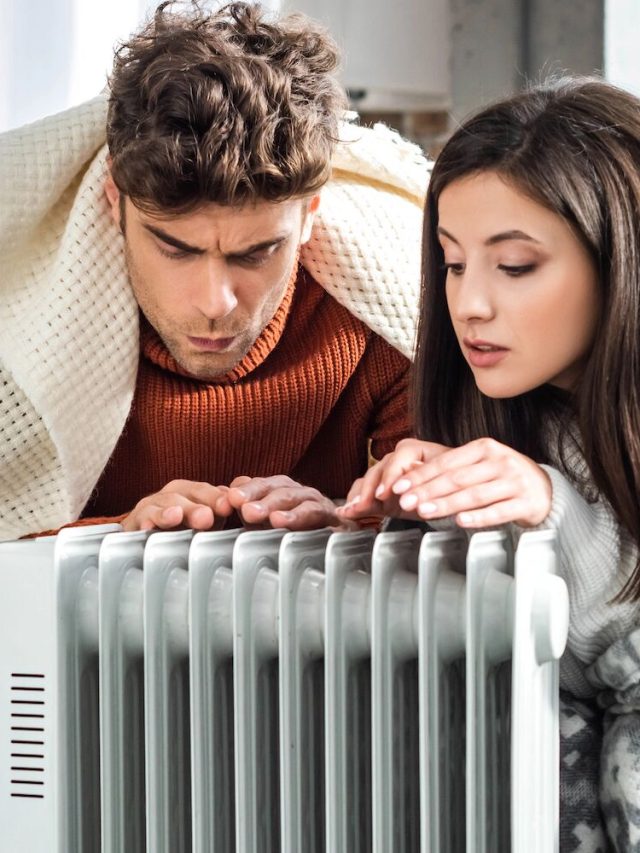 Novo site espera ajudar portugueses a poupar dinheiro nas contas de energia