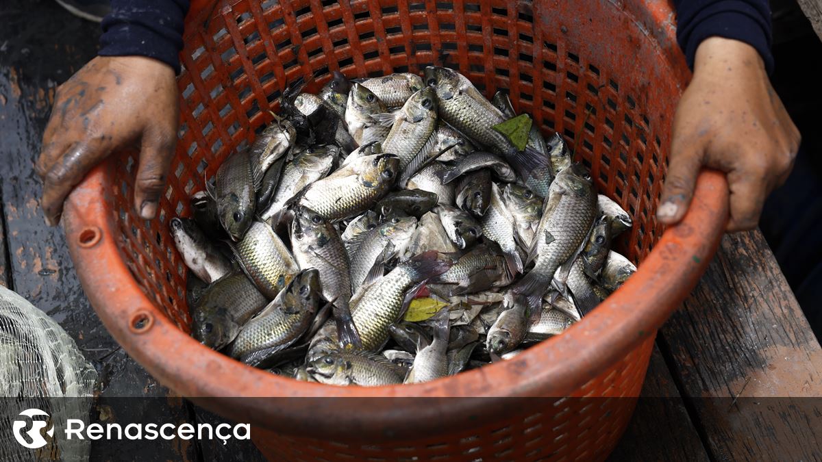O Parlamento autoriza mais estrangeiros no barco de pesca