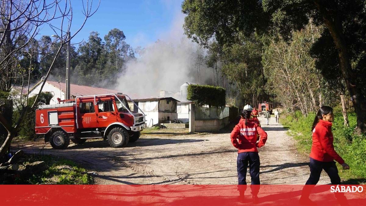 O incêndio afetou mais de 16.000 estudantes em Portugal em 2024-a última hora