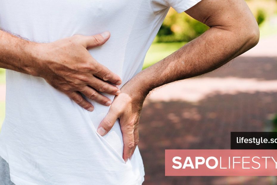 O que é o rim? Explicação do médico Fitness and Health
