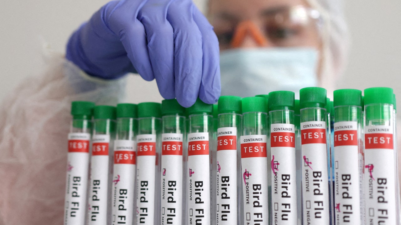 Officials issue warning after 60 birds found dead from suspected bird flu