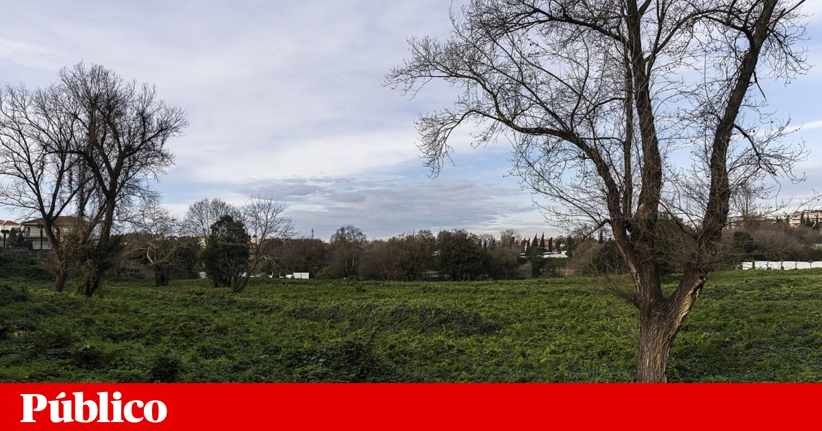 PCP diz que governo está isolado por causa da lei dos solos e pede ao PS que vote pela revogação |