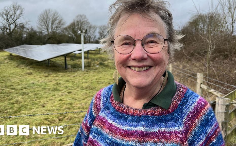 "People who try to prevent solar parks from building a good connection"