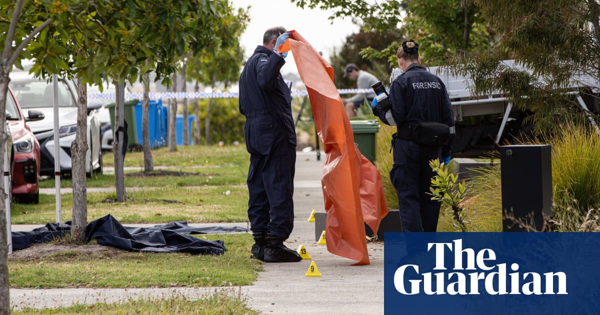 Police say a Melbourne brawl that left two men dead began after an argument at a birthday party Melbourne