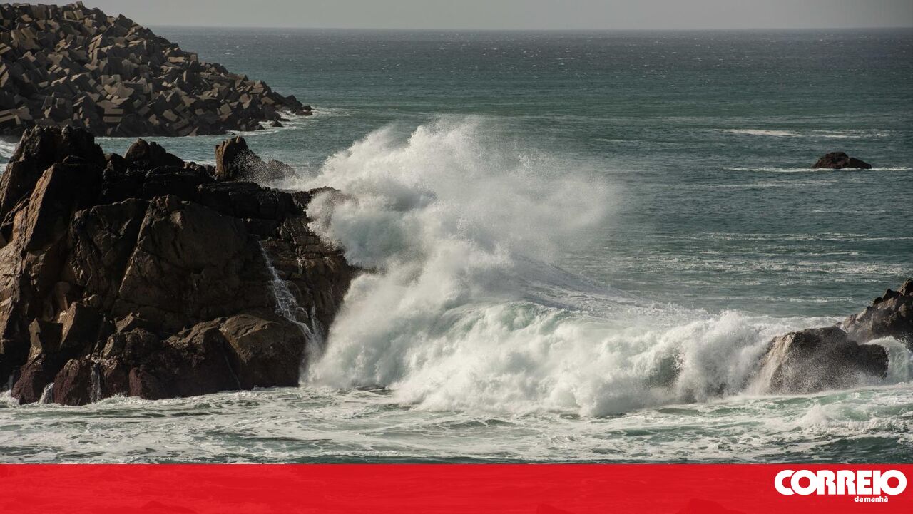 WWF -Mundo alerta que apenas 2% dos oceanos da UE estão protegidos em 5 anos de alvo de 30%