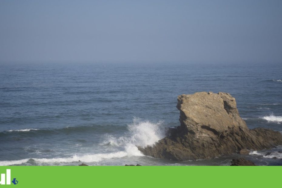 Portugal lança pesca de fundo de 500 horas na zona restrita de Sines
