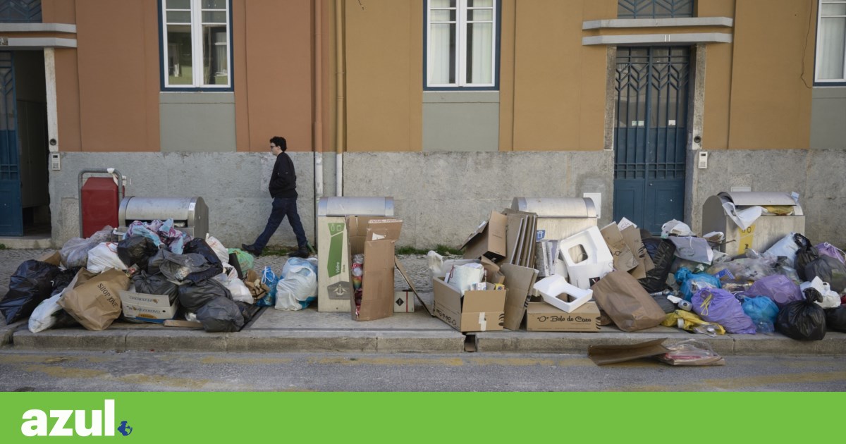 Portugal reciclou 477 mil toneladas de embalagens em 2024 |