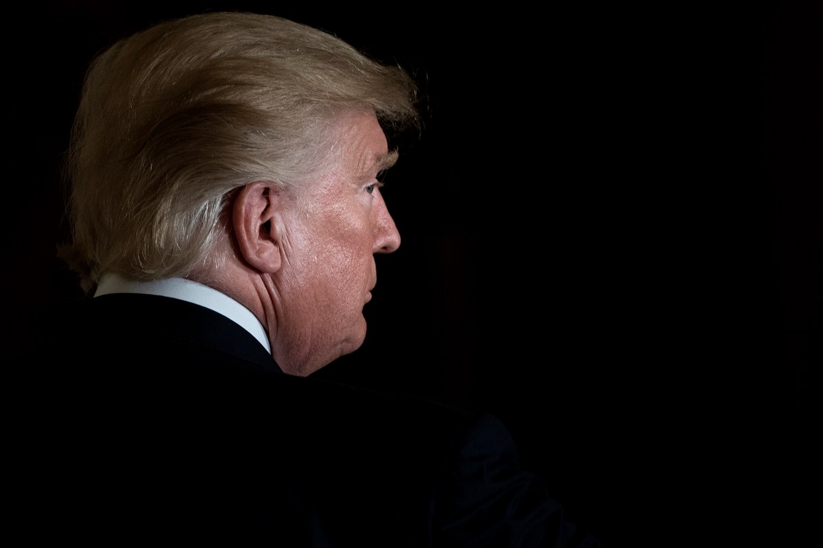 Trump raises questions about AI training after report