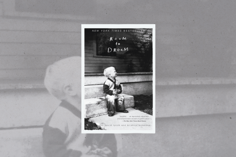 Read the book “The Dream Room”