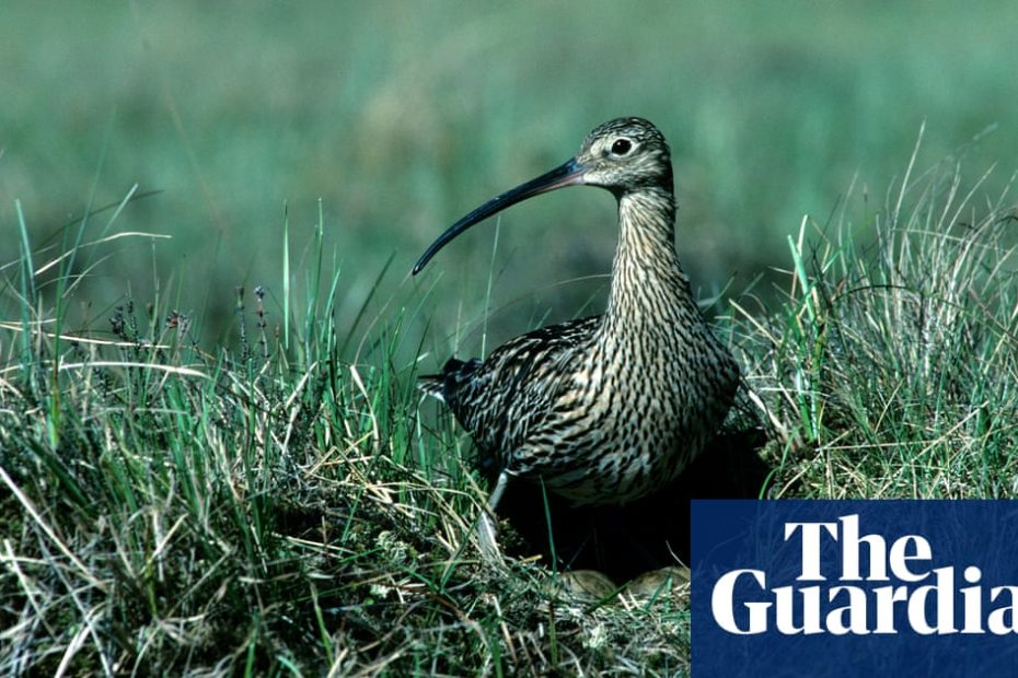 Report finds Wales is failing to cope with alarming decline in natural environment Wales