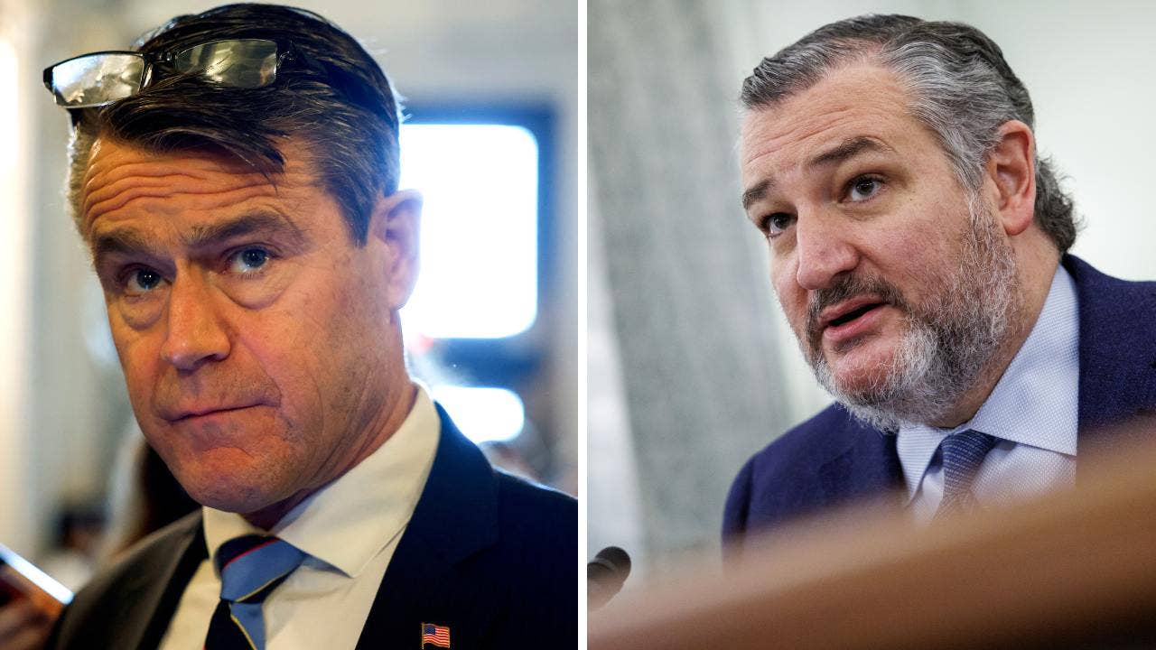 Republican senators warn history museums ahead of anti-abortion march: 'Respect' free speech