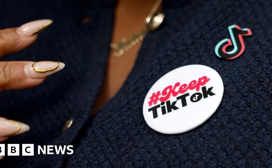 Supreme Court to hear TikTok's last-ditch bid to avoid US ban