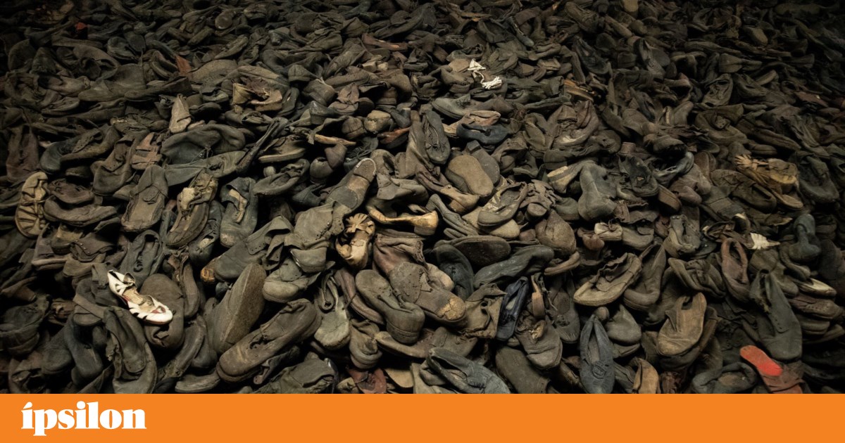 TV Segunda-feira: Auschwitz, América e Desprezo TV |