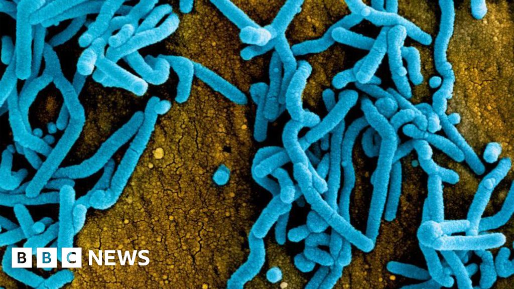 Tanzania denies suspected Marburg outbreak after WHO alerts Kagera region