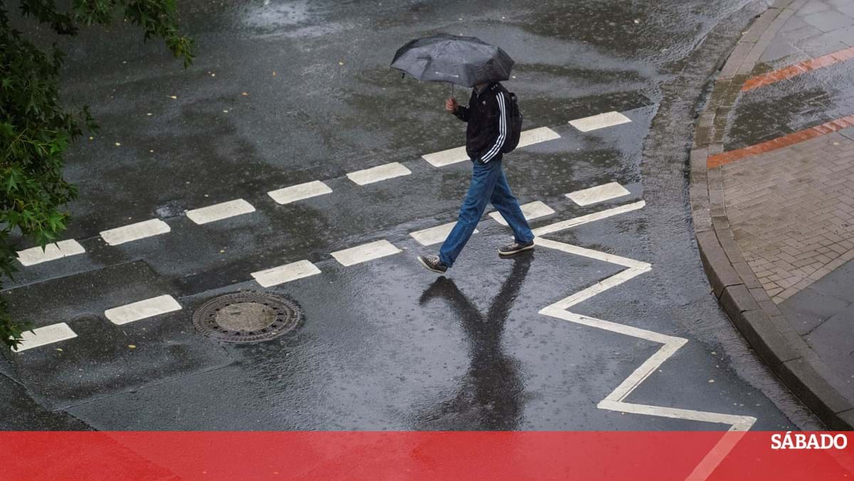 Tempestade Eowyn afetará Portugal após encerramento de escolas irlandesas – Portugal