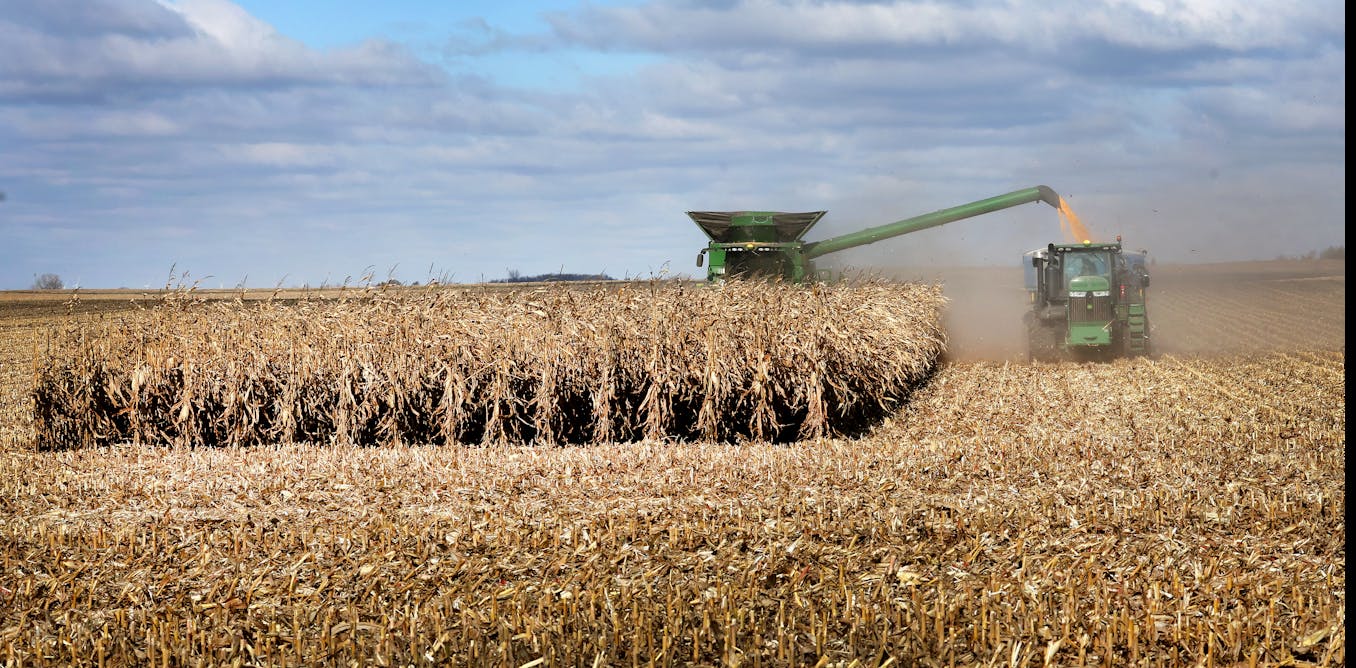 The Secretary of Agriculture oversees food production, rural livelihoods and nutrition programs that help millions of people afford healthy meals