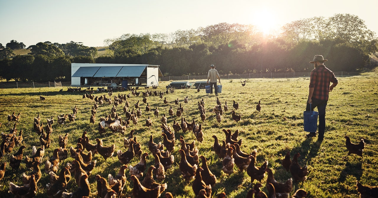There is an avian flu vaccine in the United States. That's why you can't buy it