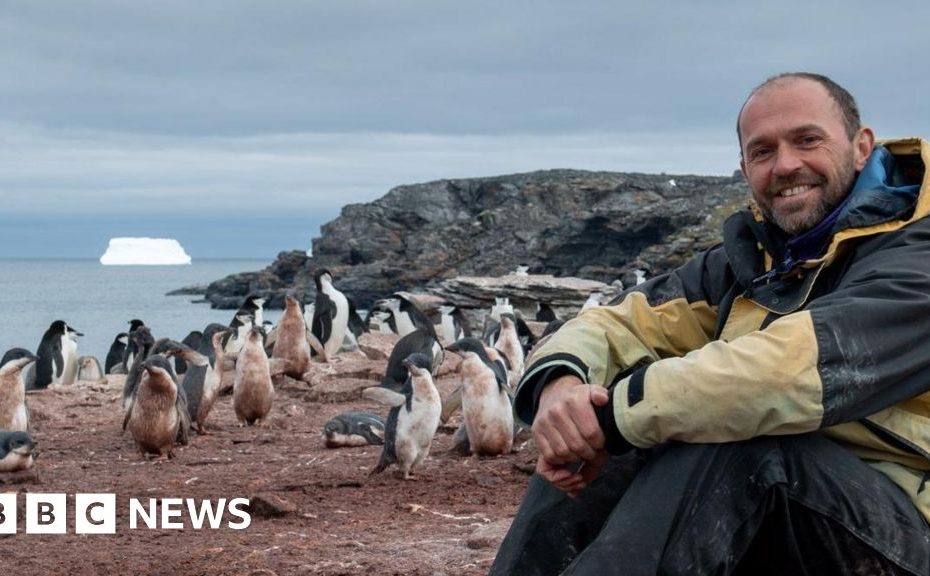 "This Christmas I will count the penguins in Antarctica"
