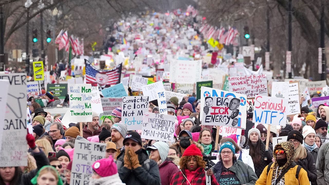 Thousands of left-wing demonstrators descend on Washington to protest Trump's inauguration