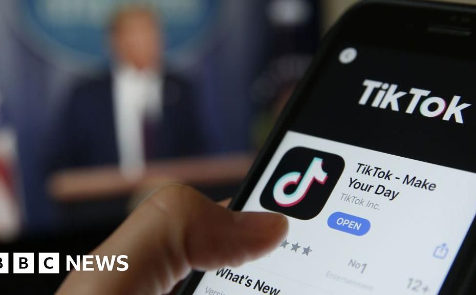 TikTok ban could affect U.S. allies