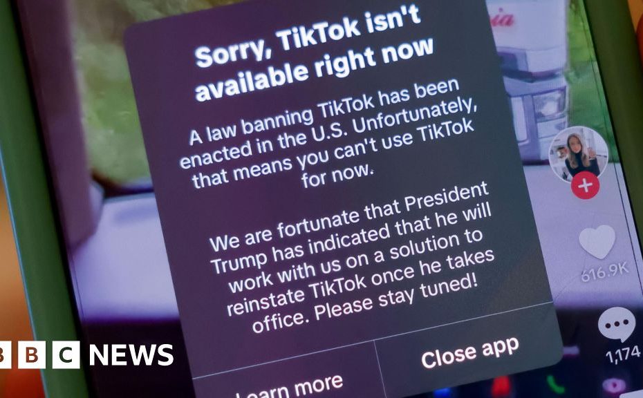 TikTok ban takes effect in US, app stops working