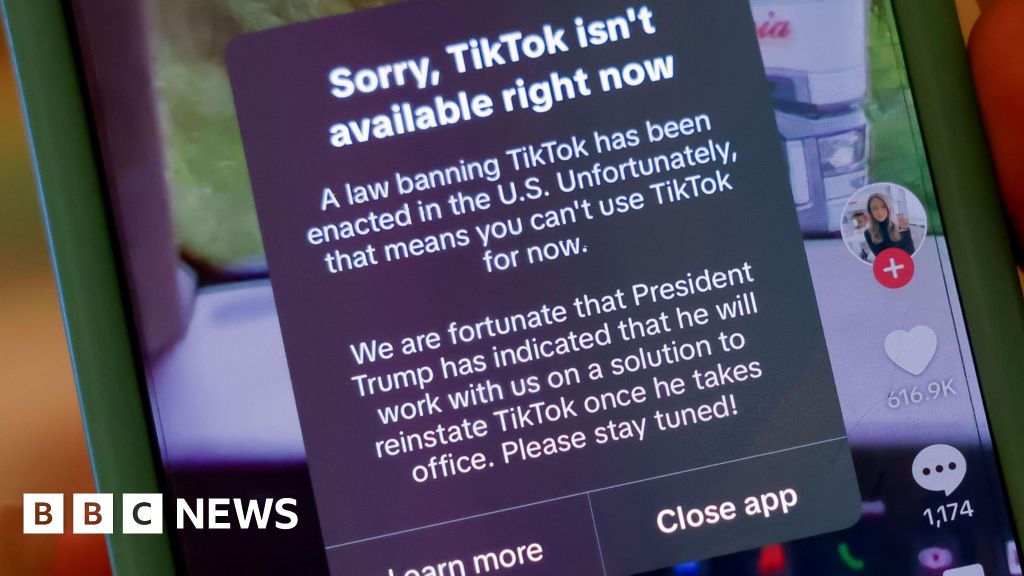 TikTok ban takes effect in US, app stops working