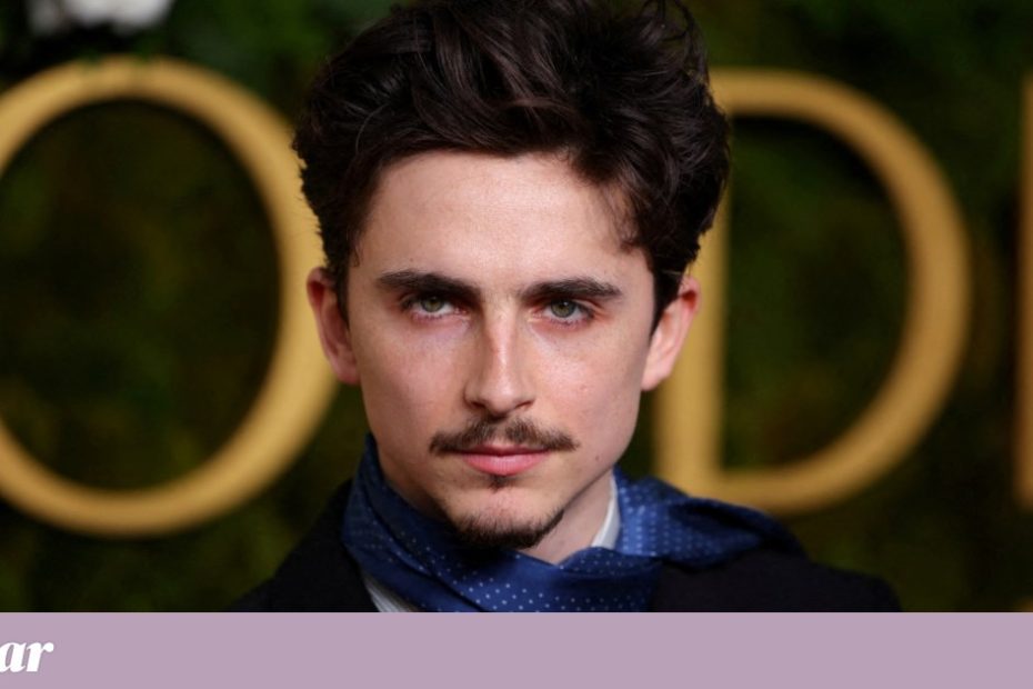 Timothée Chalamet estacionou bicicleta no tapete vermelho e foi multado |