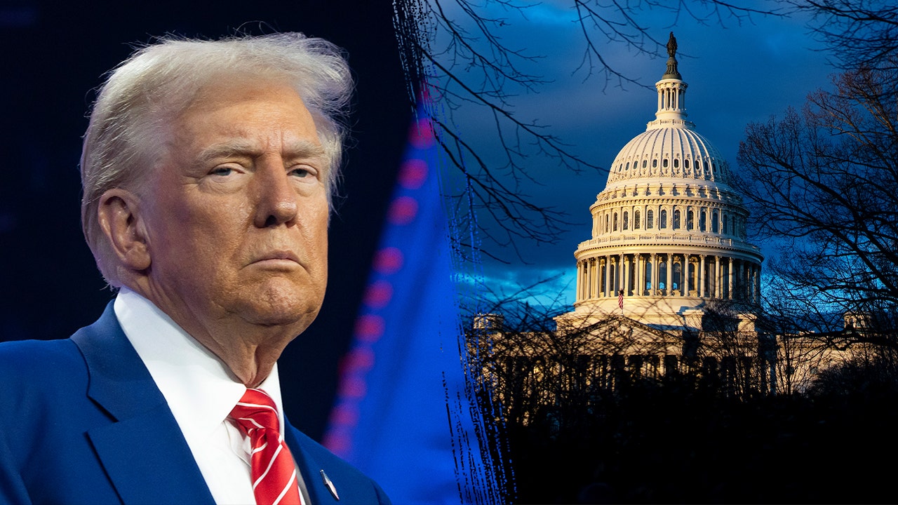 Trump inauguration puts Washington on high alert: How to spot a possible lone wolf