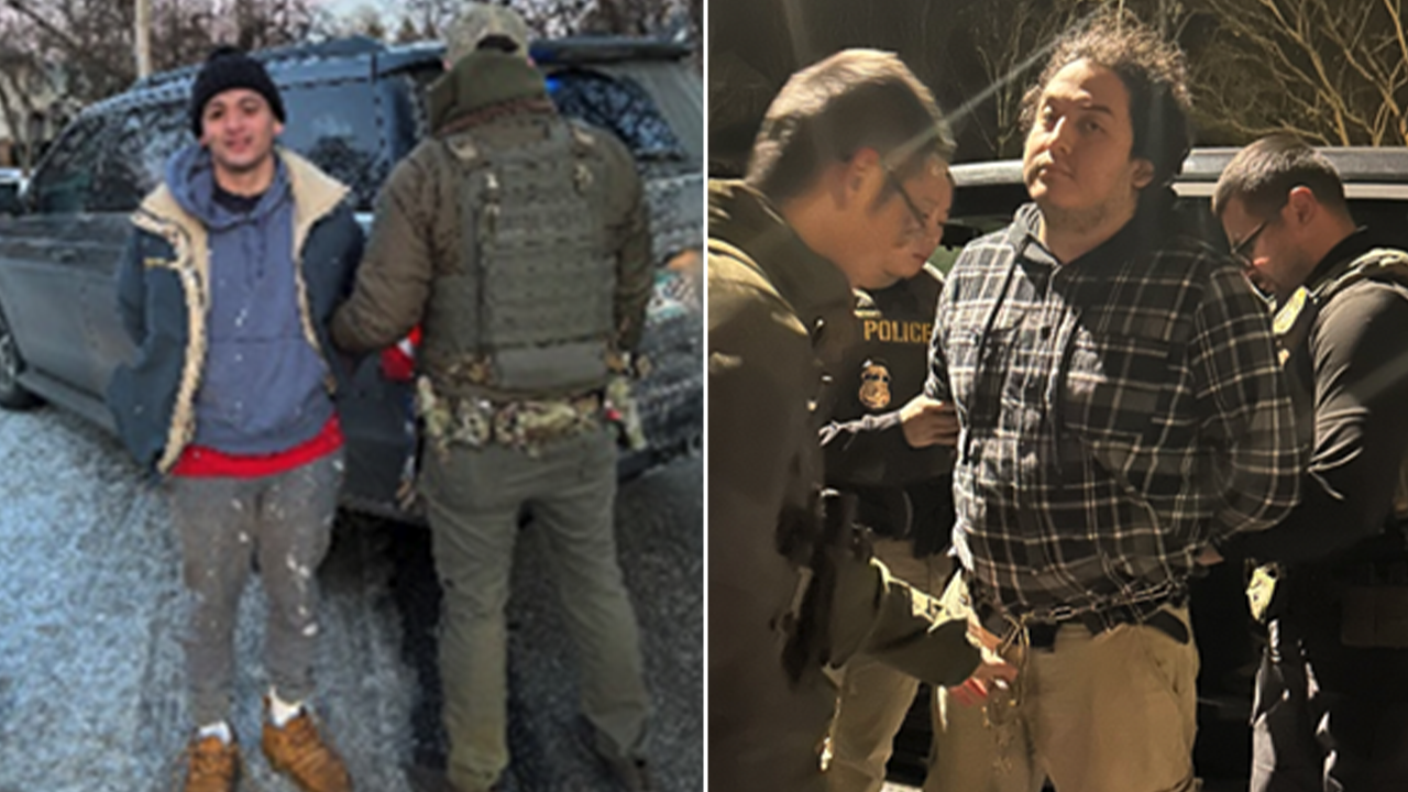 Trump's ICE has captured more than 530 illegal immigrants in a single day, including child sex criminals