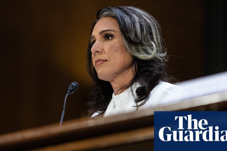 Tulsi Gabbard roasted Snowden, Assad and Putin | Trump government at the intense Senate hearing