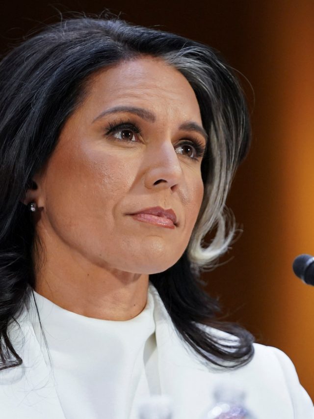 Tulsi Gabbard's main harvest of the US Senate confirmed the hearing | Donald Trump News