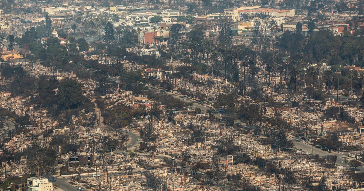 Two former heads of FEMA describe the long road ahead for Los Angeles in the wake of devastating wildfires
