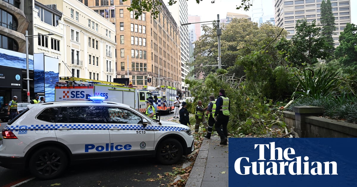 Two people injured after falling tree in Sydney's Hyde Park due to strong winds Sydney